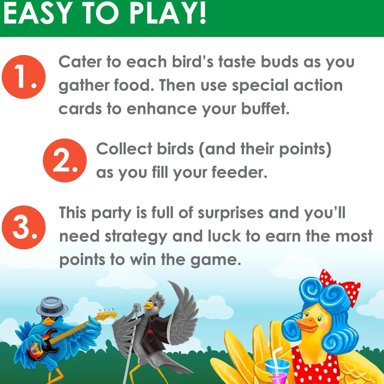 Bird Bash Family Board Game