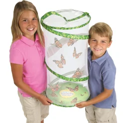 Butterfly Pavilion with FREE Gift