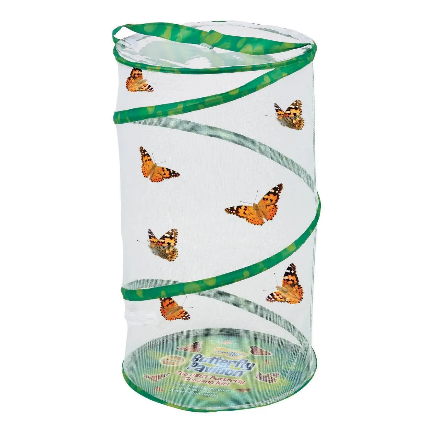 Butterfly Pavilion with FREE Gift