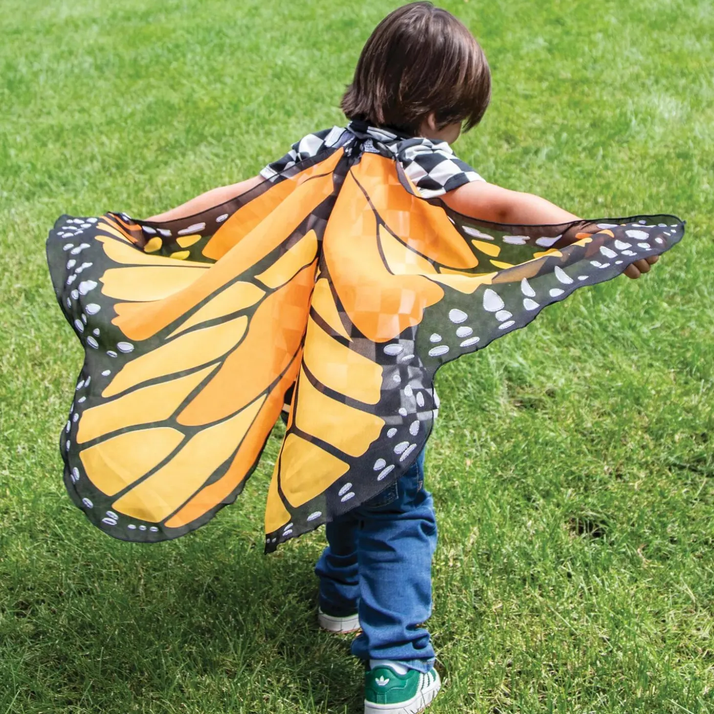 Butterfly Wings: Orange
