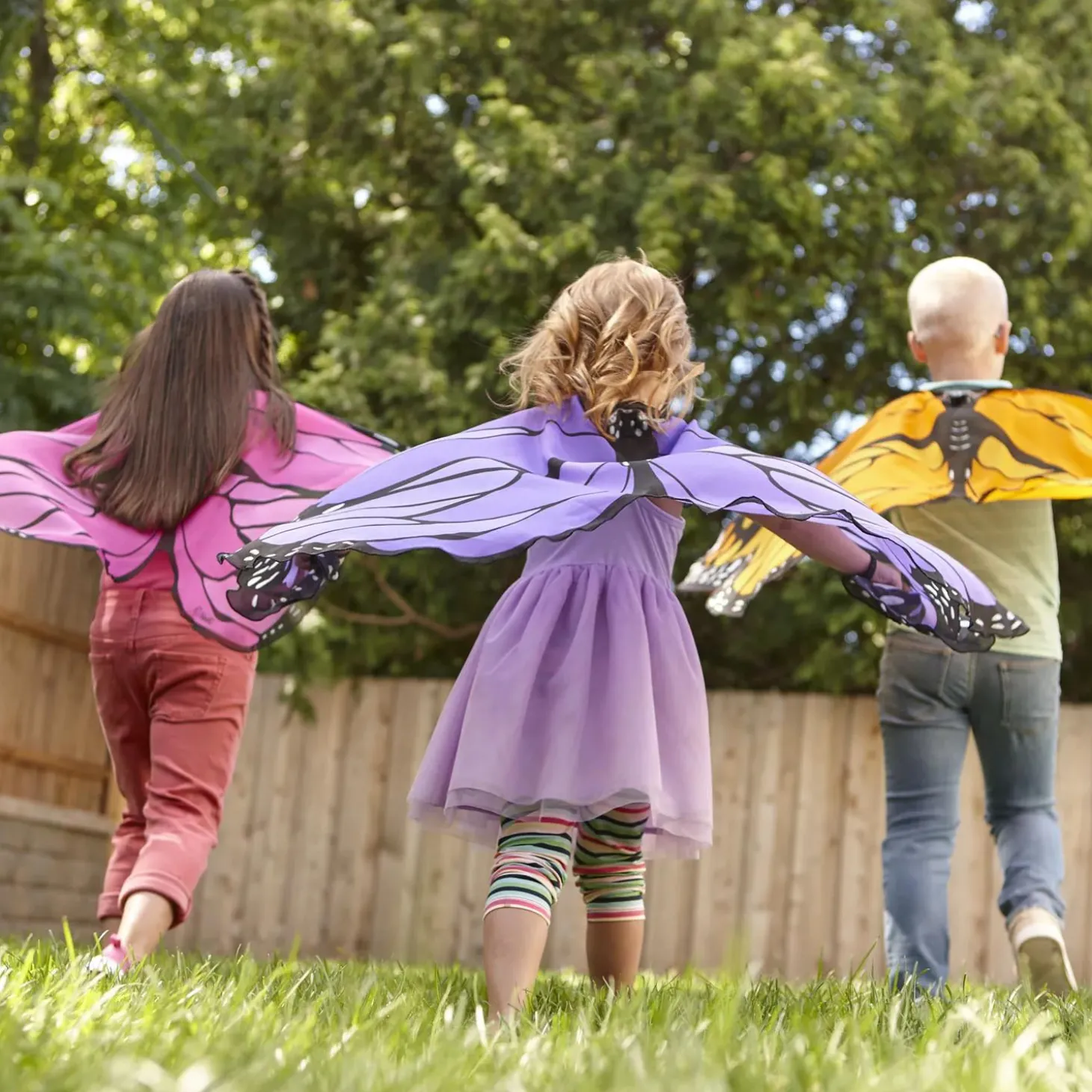 Butterfly Wings: Orange