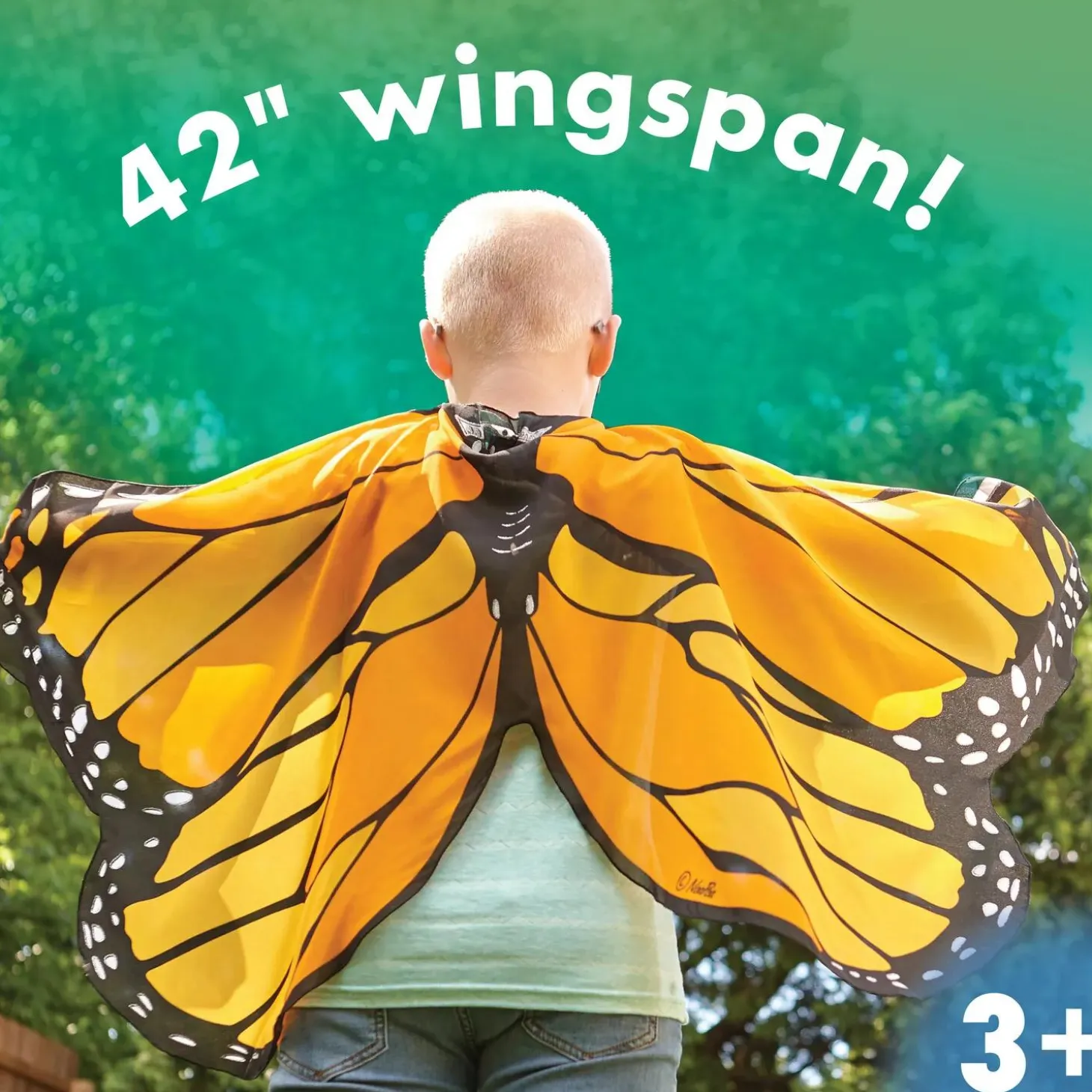 Butterfly Wings: Orange
