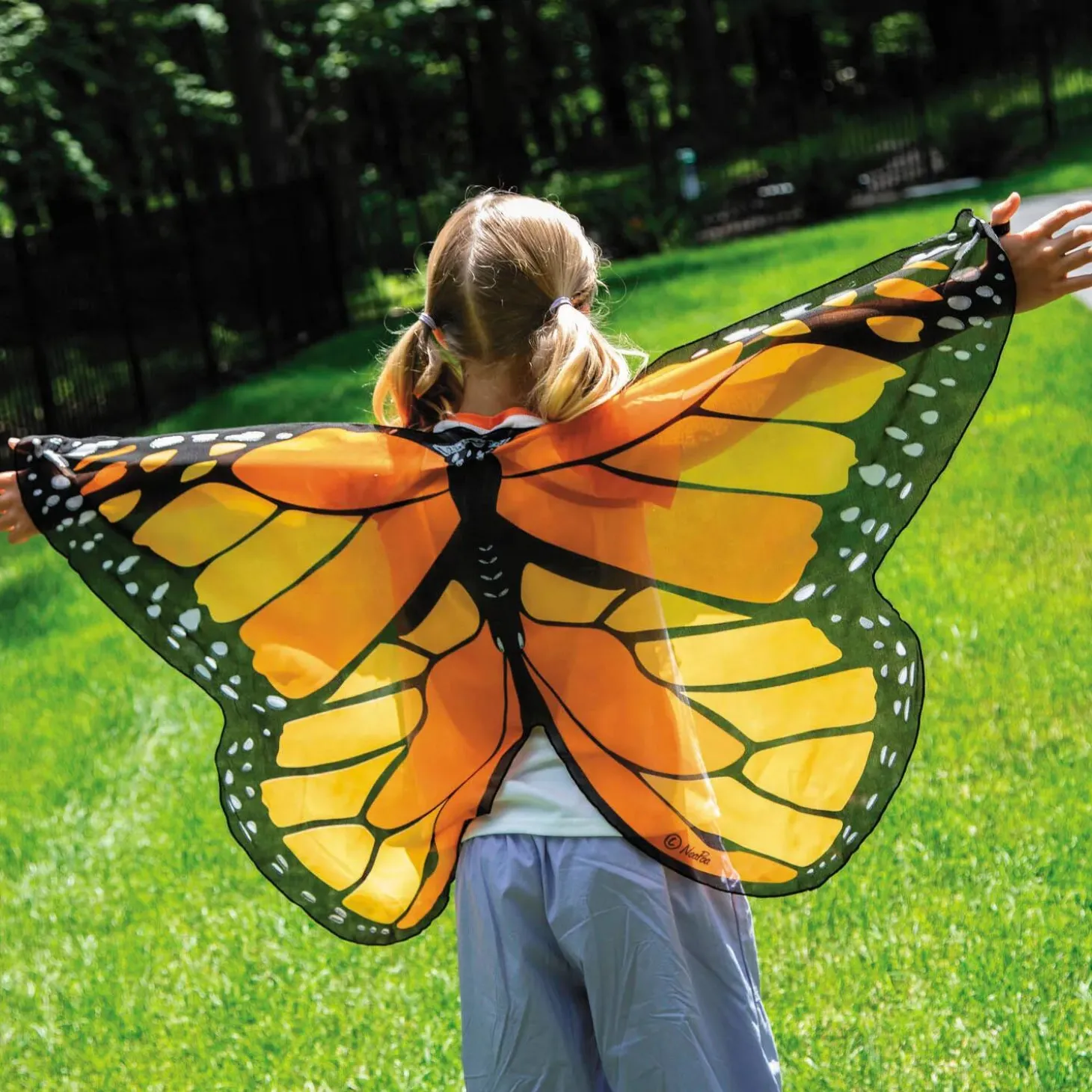 Butterfly Wings: Orange