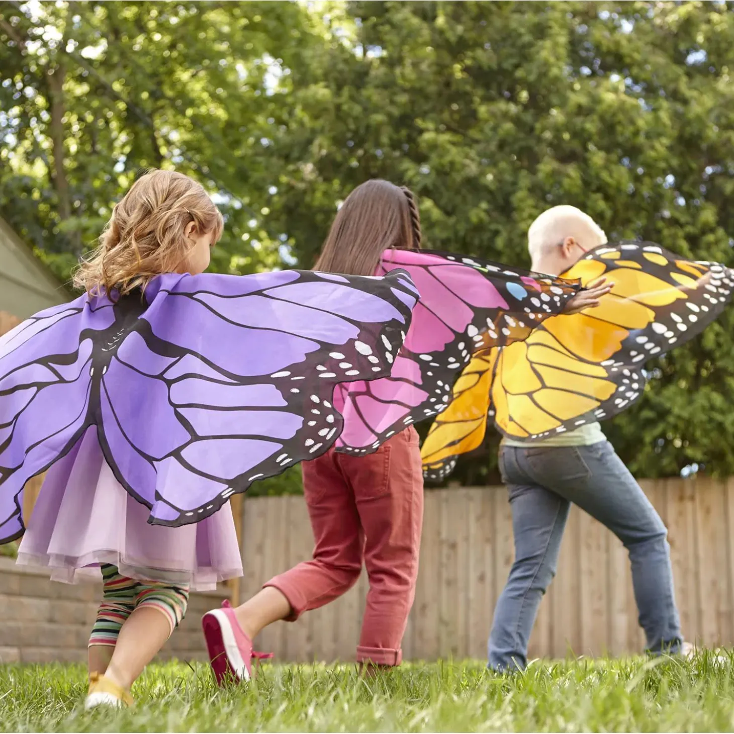 Butterfly Wings: Purple