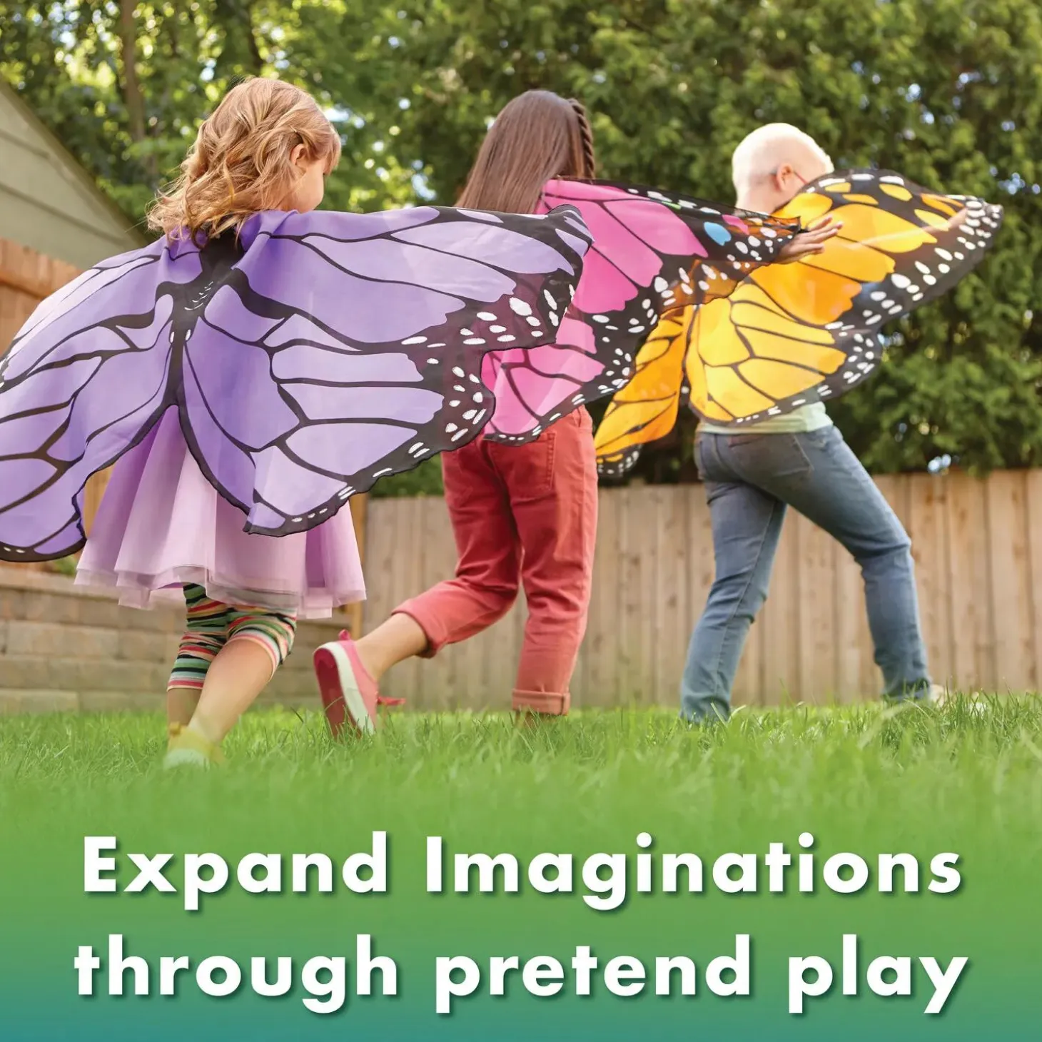 Butterfly Wings: Purple