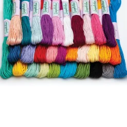 Deluxe Loopdedoo Friendship Bracelet Kit