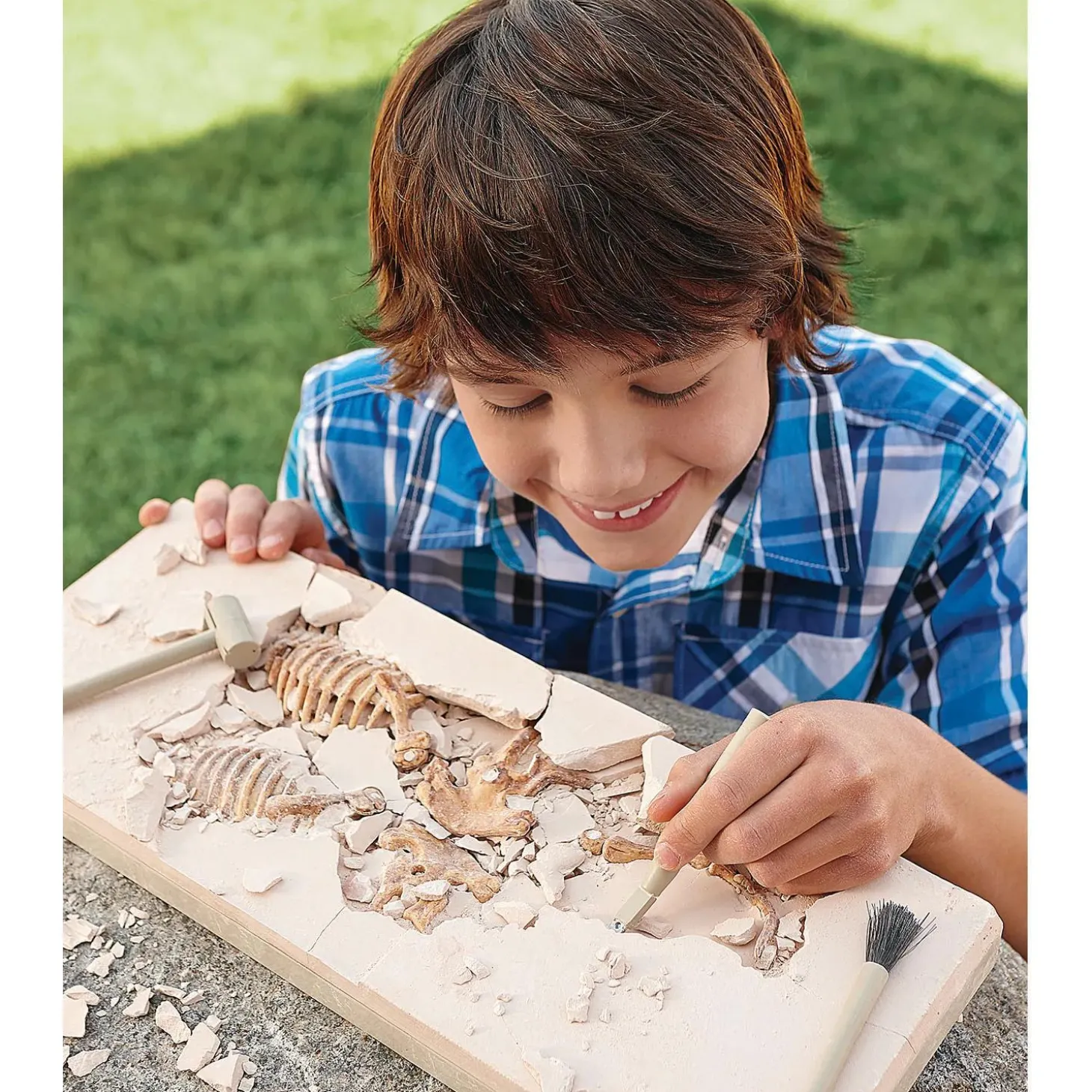 Dig It Up! Dino Model: Triceratops