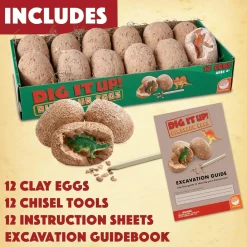 Dig It Up! Dinosaur Eggs