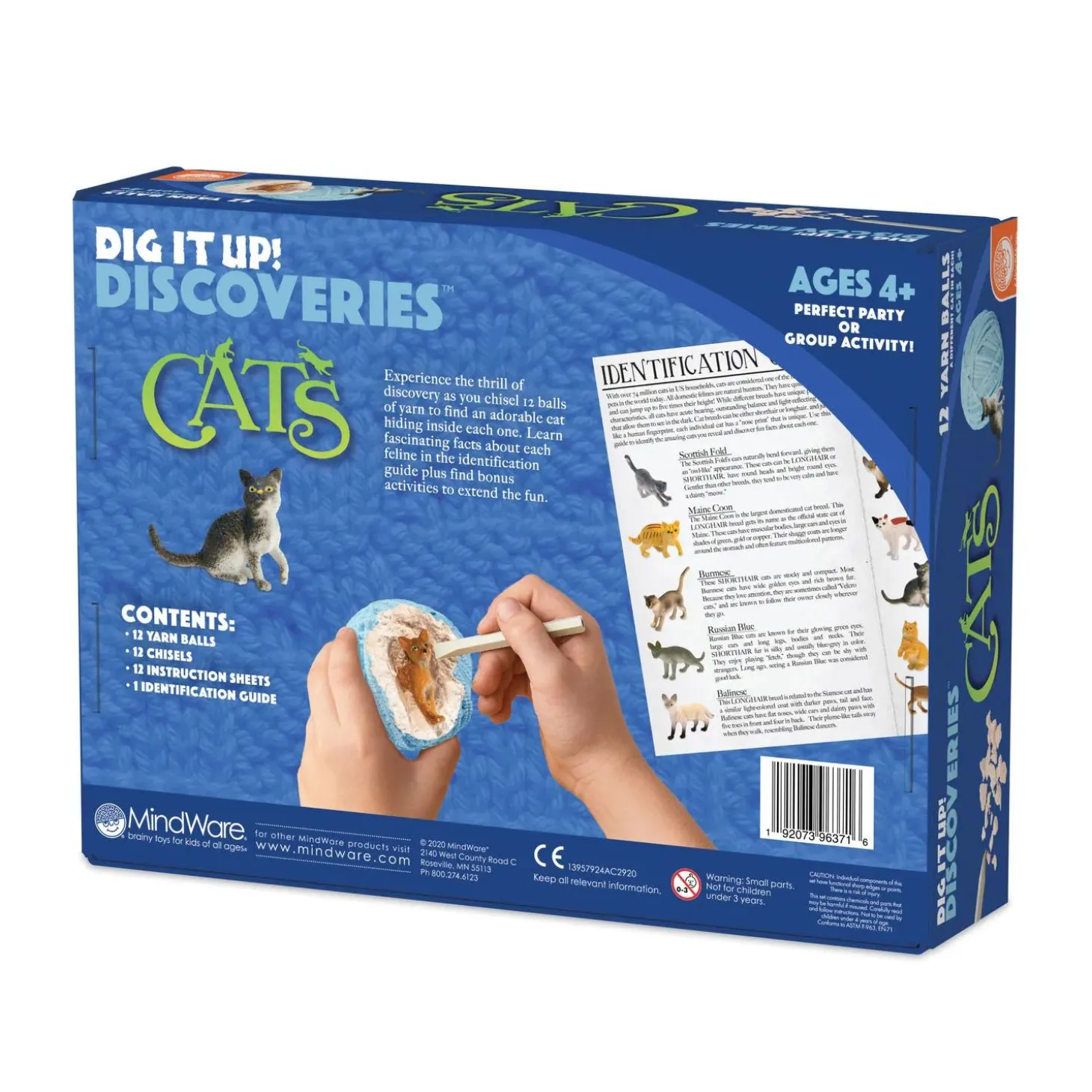 Dig It Up! Discoveries: Cats