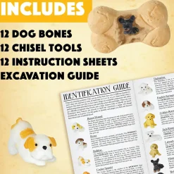 Dig It Up! Discoveries: Puppies