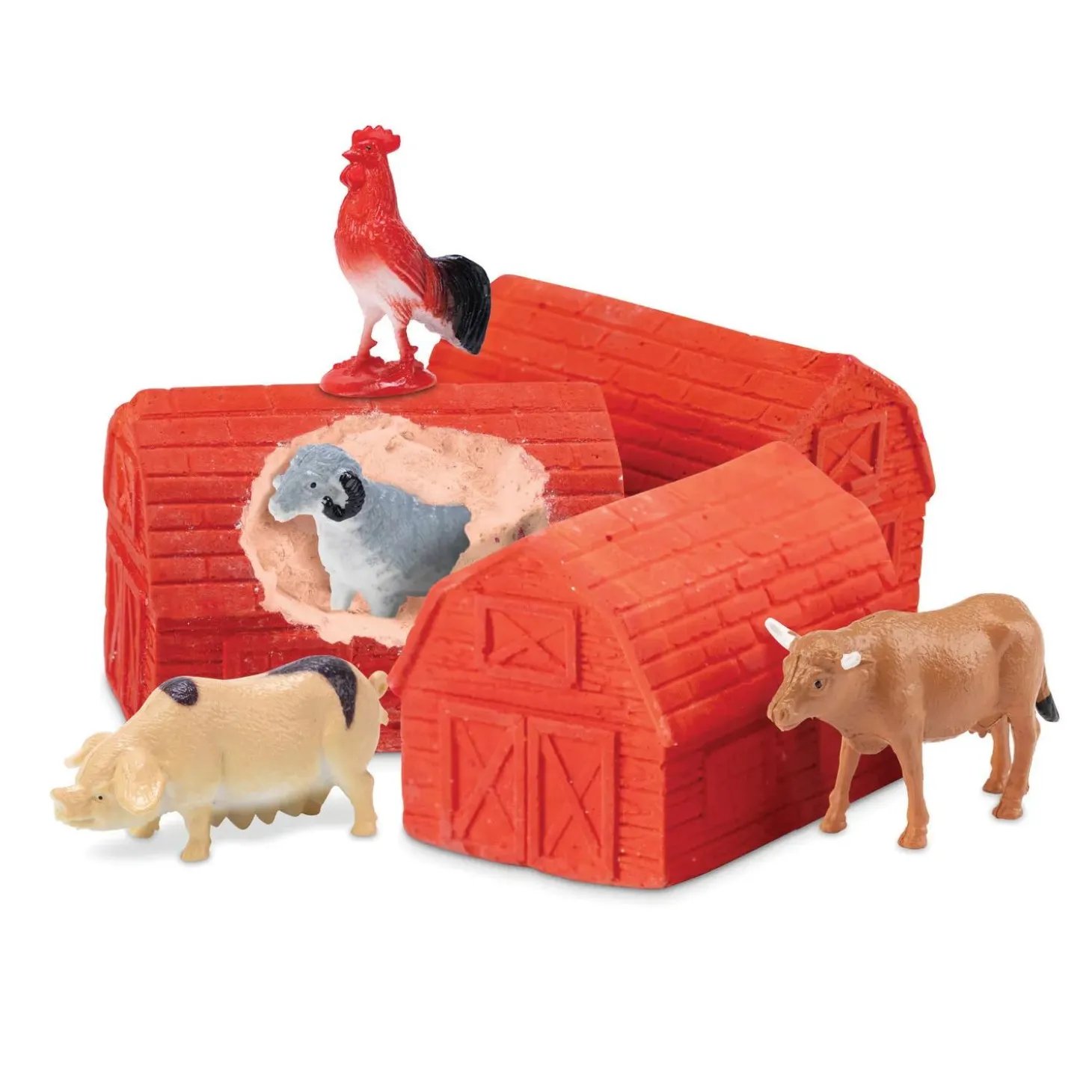 Dig It Up! Farm Discoveries