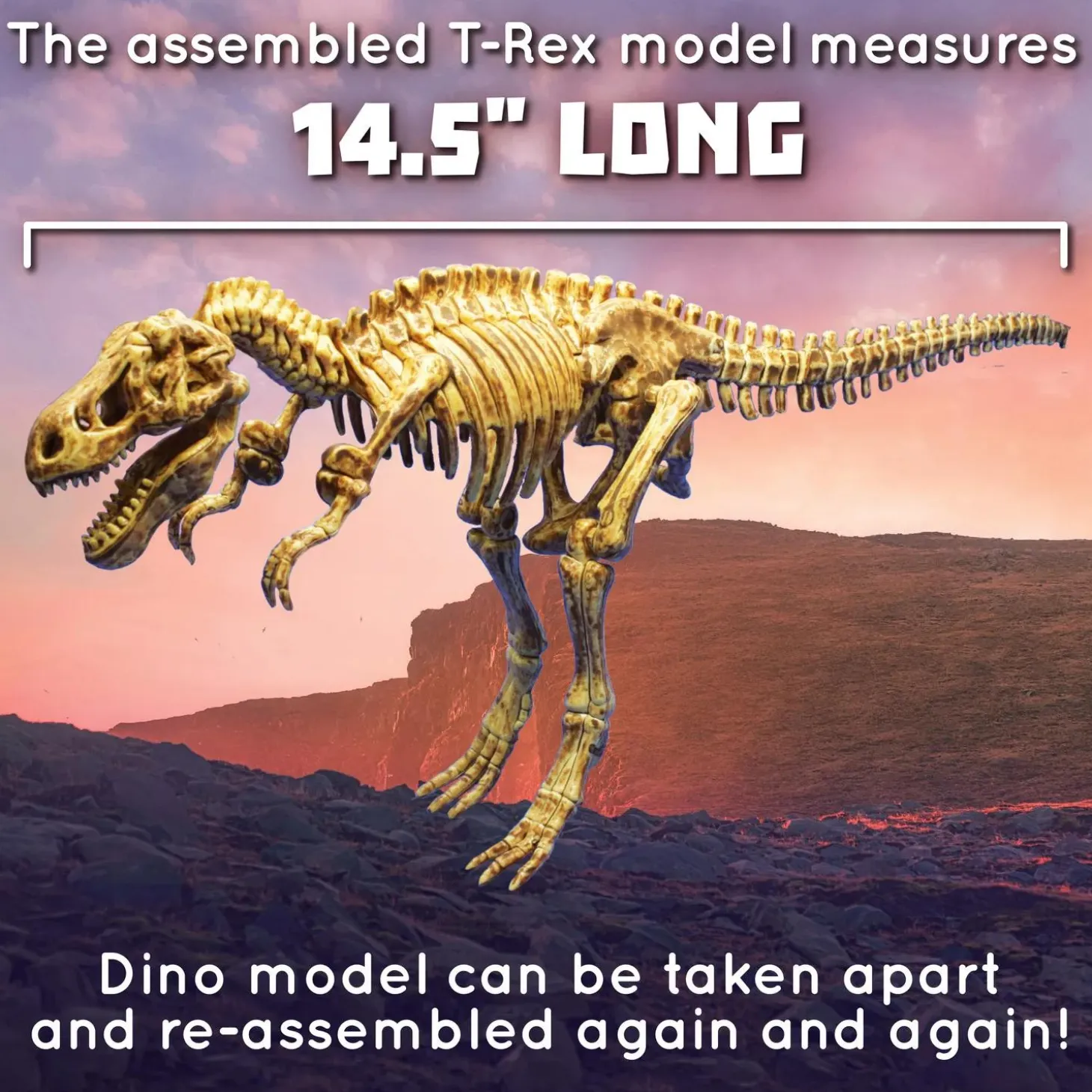 Dig It Up! Tyrannosaurus Rex 3D Skeleton Excavation Kit