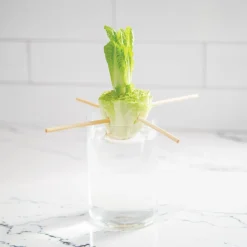 Home Grown Growing Kit