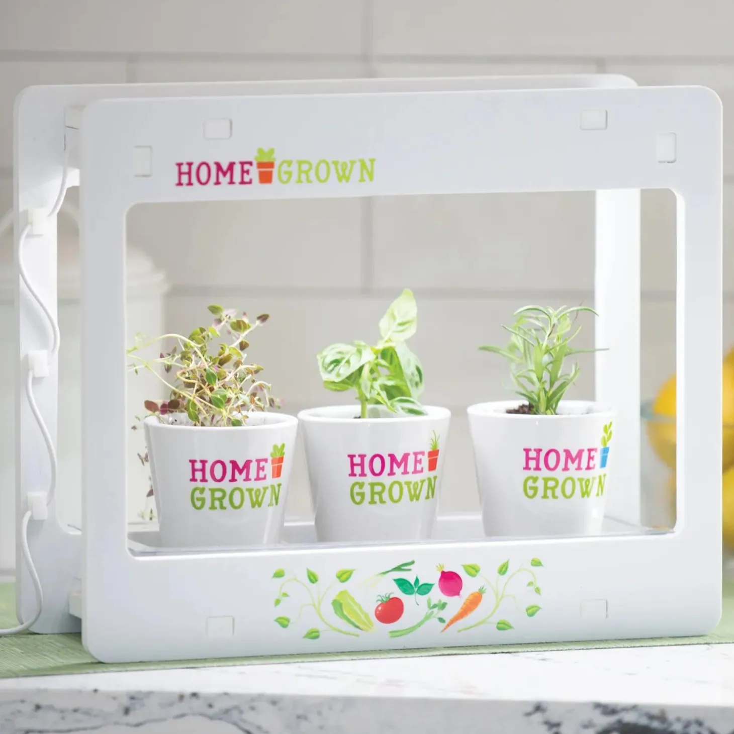 Home Grown Growing Lamp