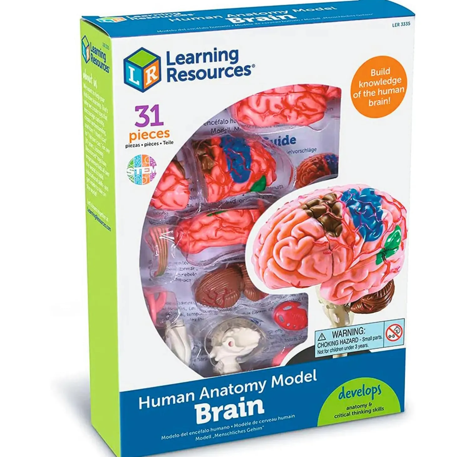 Learning Resources Model Brain Anatomy Model