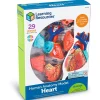 Learning Resources Model Heart Anatomy