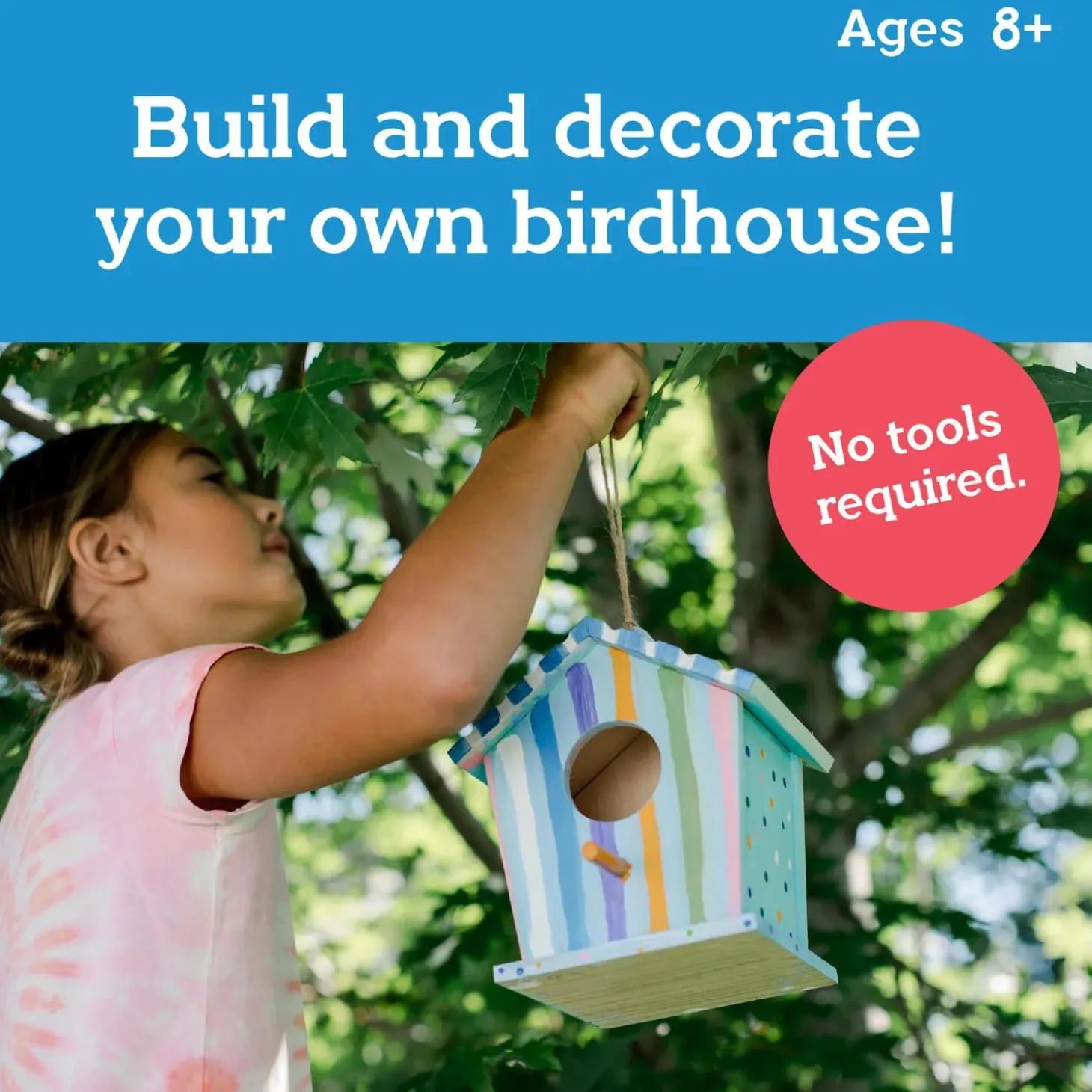 Make Your Own Birdhouse Craft