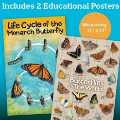 Make Your Own Butterfly House Craft