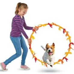 Make Your Own Doggy Day Camp  