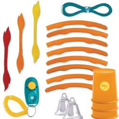 Make Your Own Doggy Day Camp  
