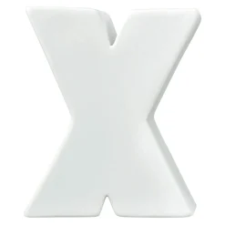 Paint Your Own Porcelain Letter X