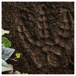 Paint Your Own Stepping Stone: Dinosaur Footprint
