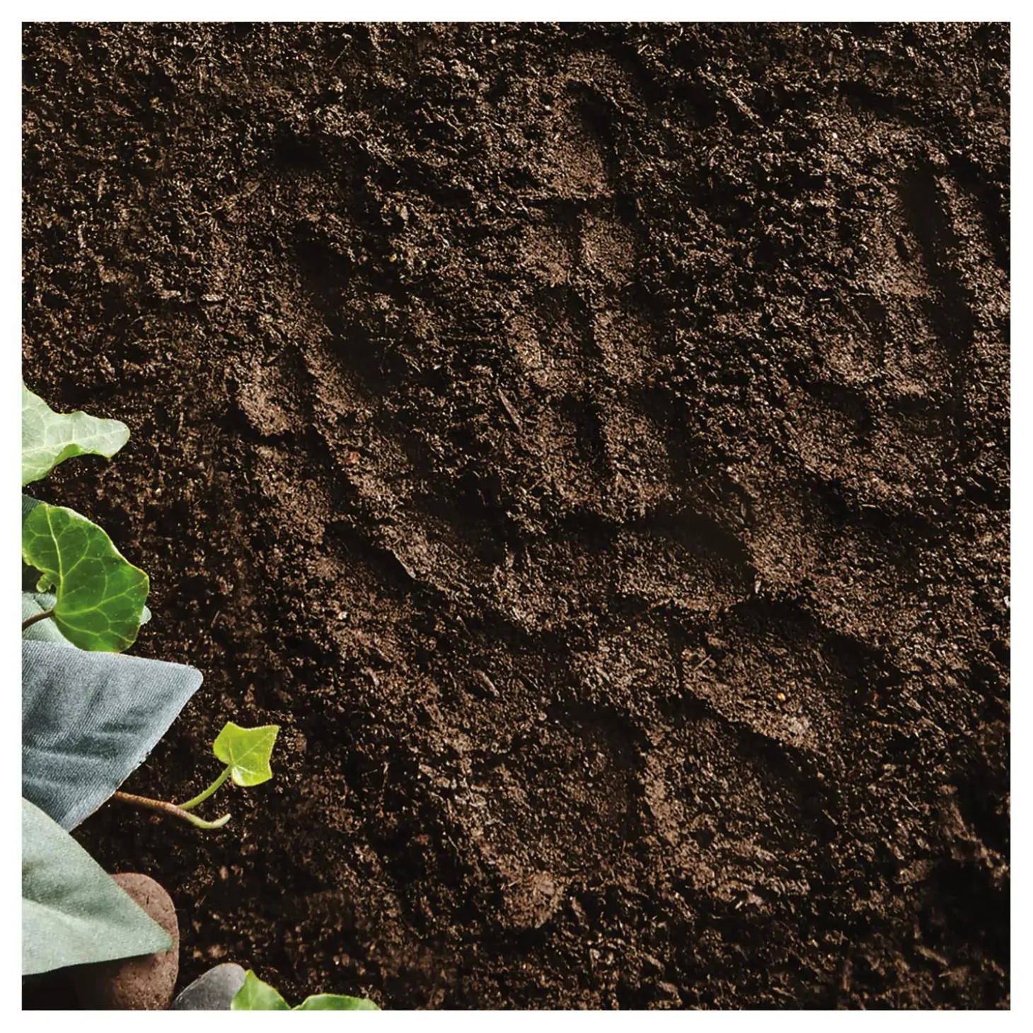 Paint Your Own Stepping Stone: Dinosaur Footprint