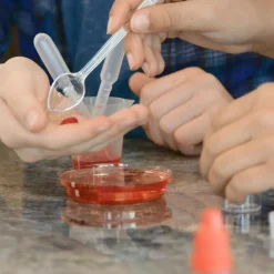 Science Academy: Gross Body Lab