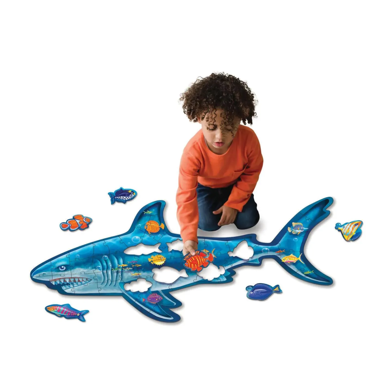 Shark Floor Puzzle