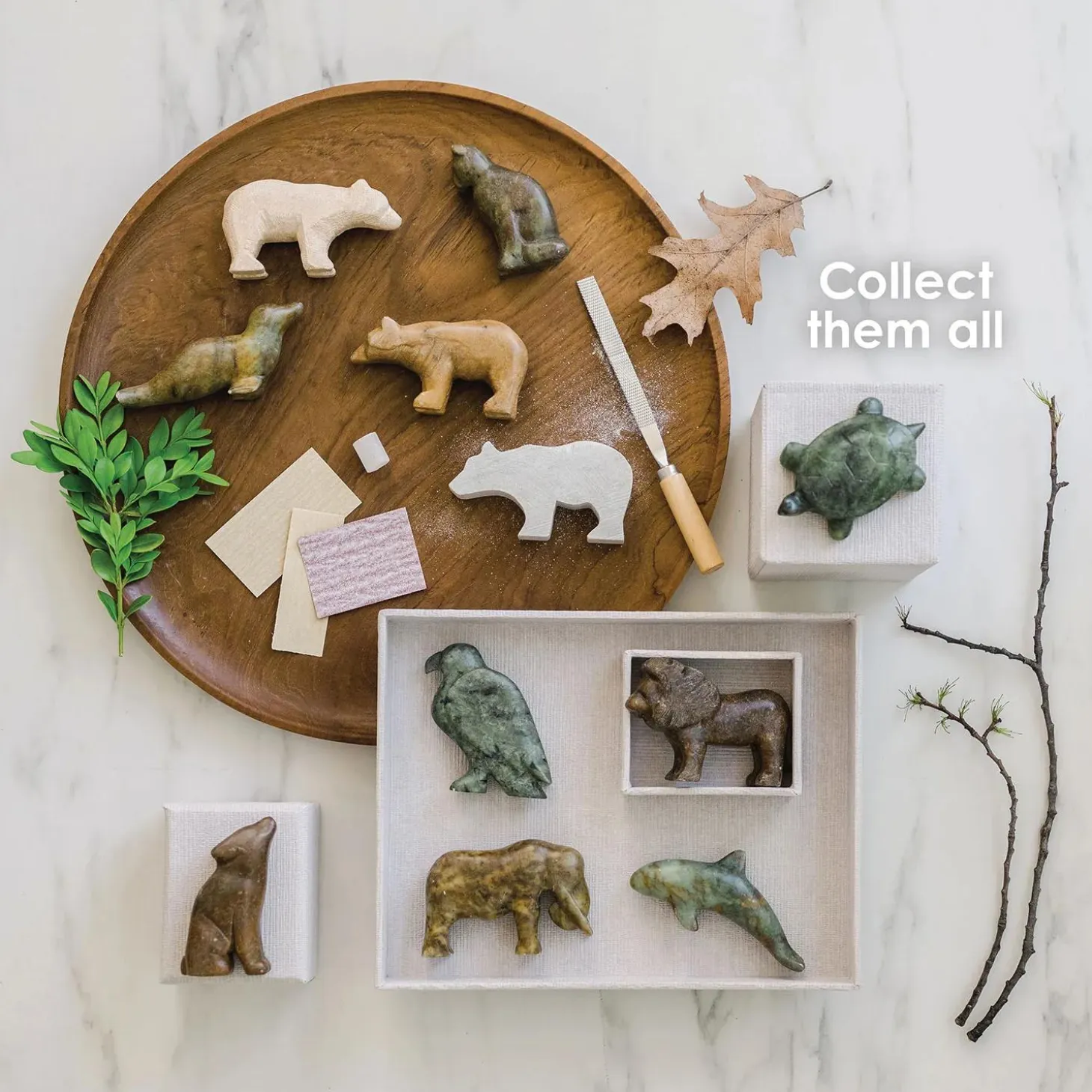 Soapstone Carving Kits: Turtle & Orca