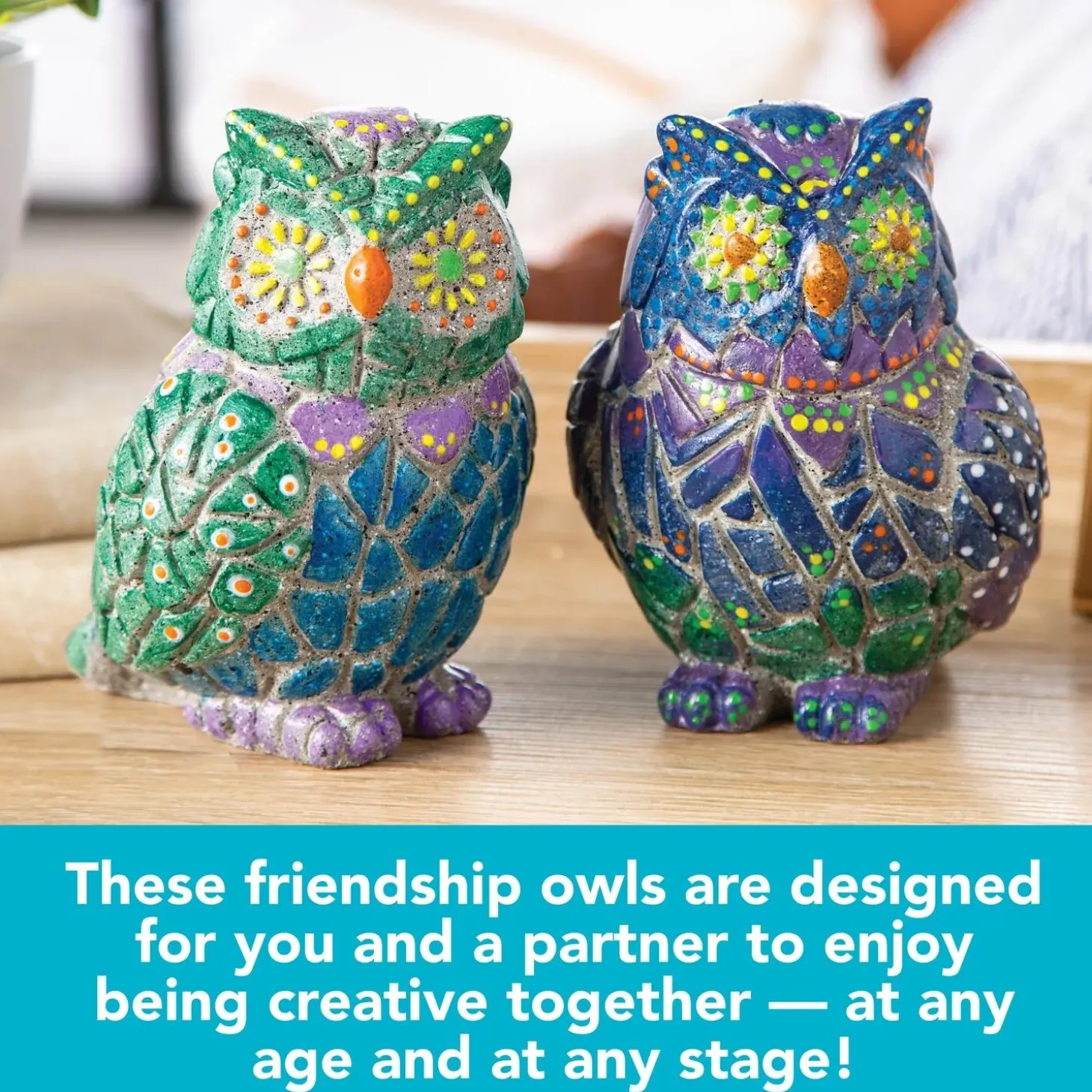 Two Creative Friendship Owls Stone Décor Painting Craft Kit for Two