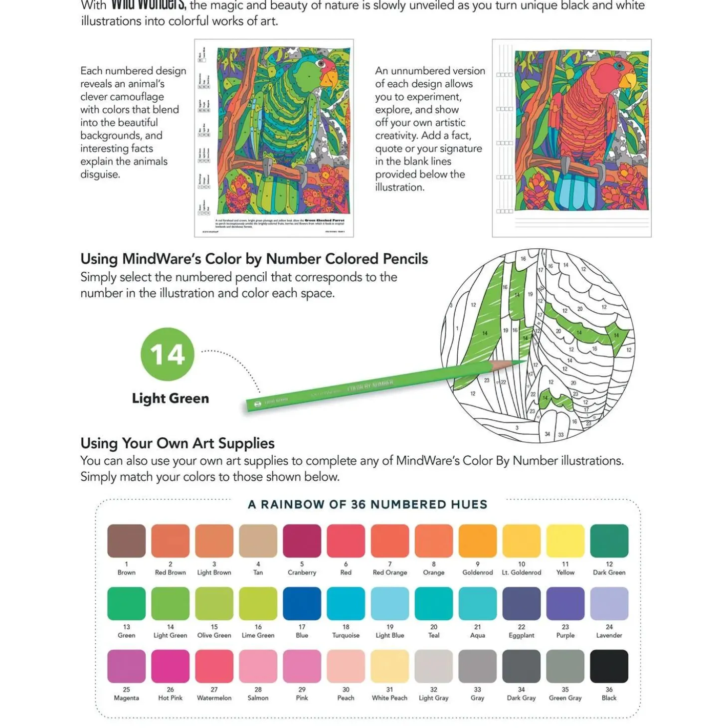 Wild Wonders Color by Number: Book 2