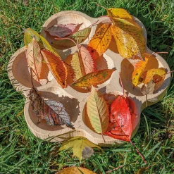 Yellow Door Natural Flower Tactile Sorting Tray, 6-Section